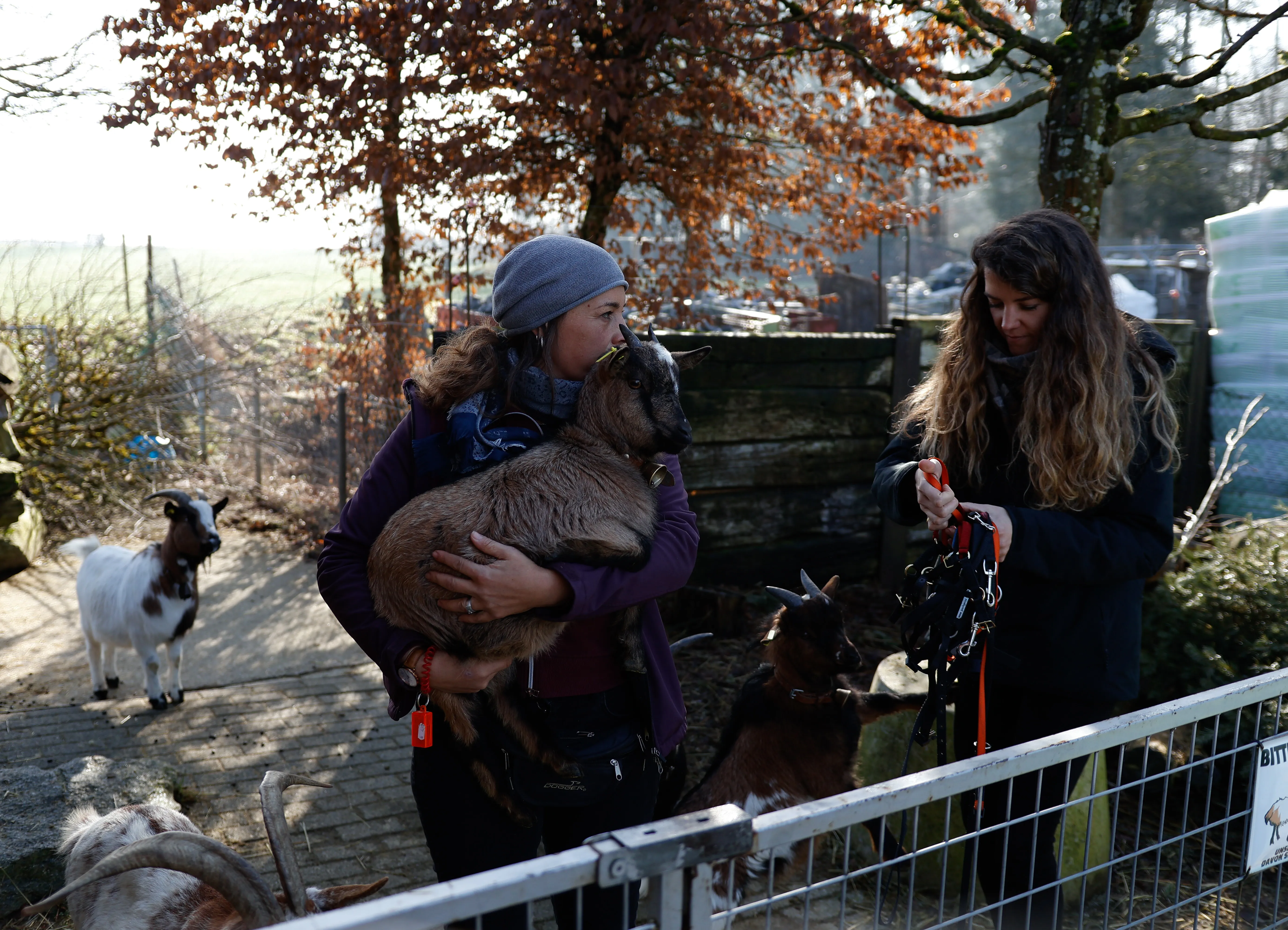 Tierbesuch in der Stiftung Eichholz image 0