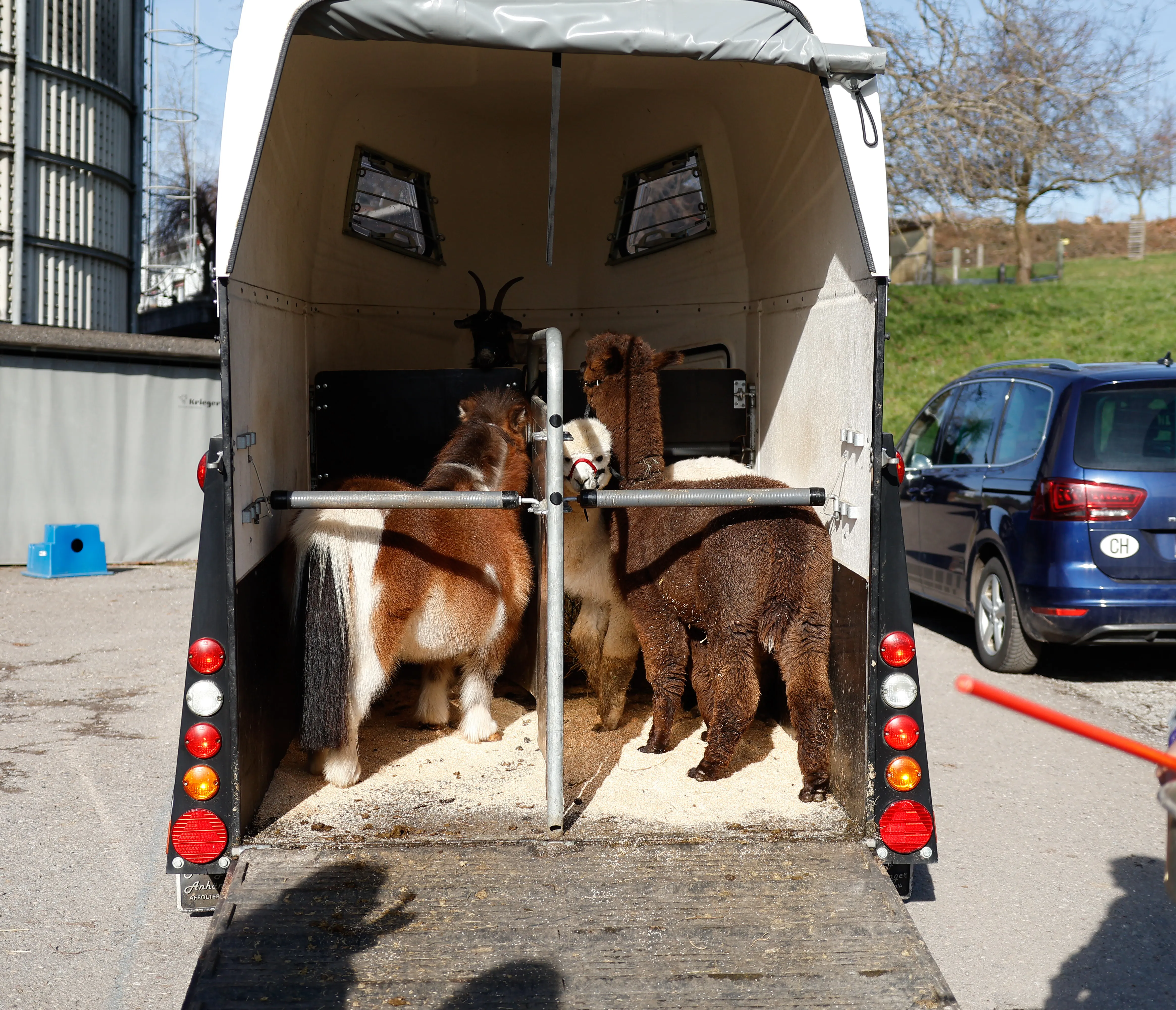 Tierbesuch in der Stiftung Eichholz image 2