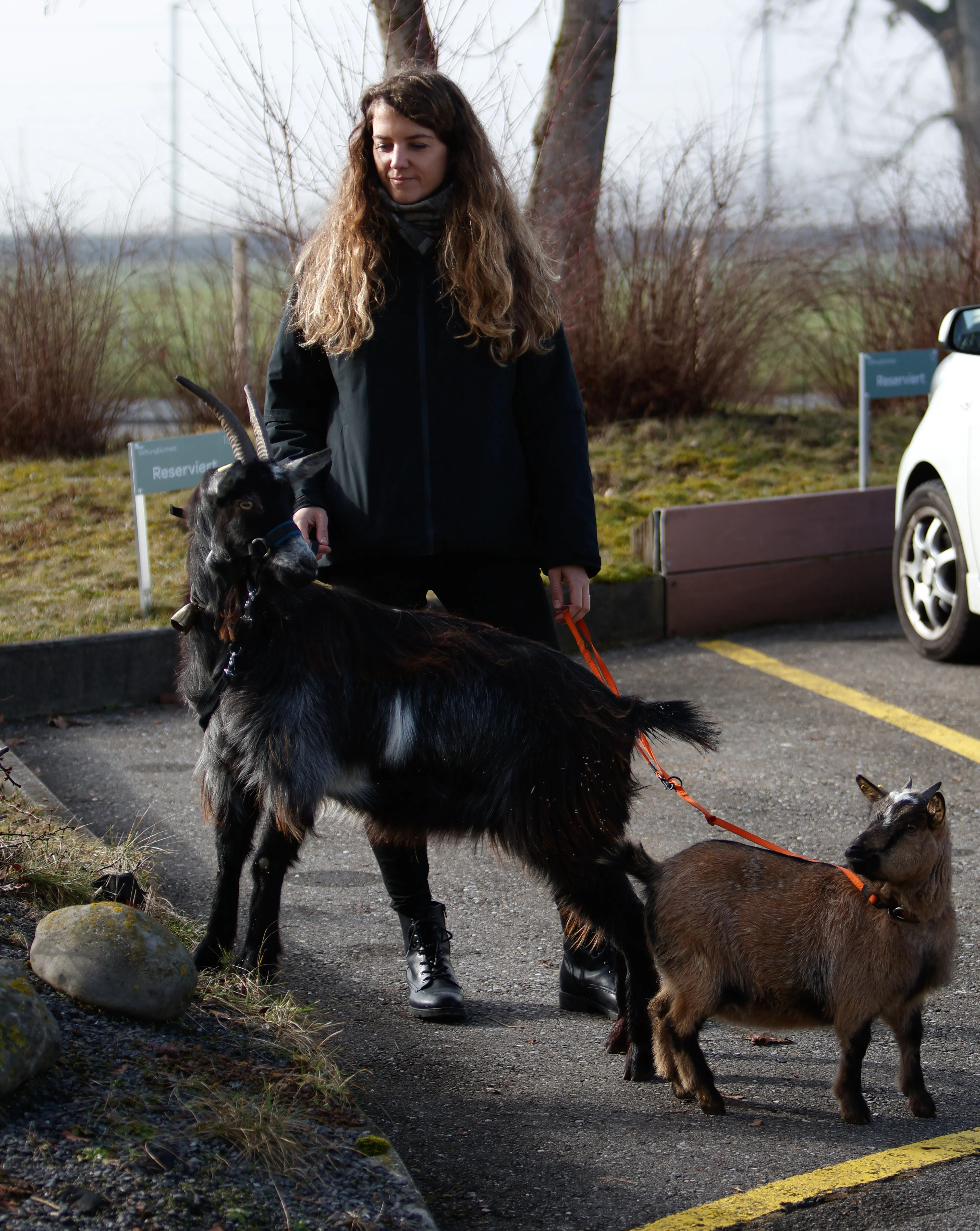 Tierbesuch in der Stiftung Eichholz image 3