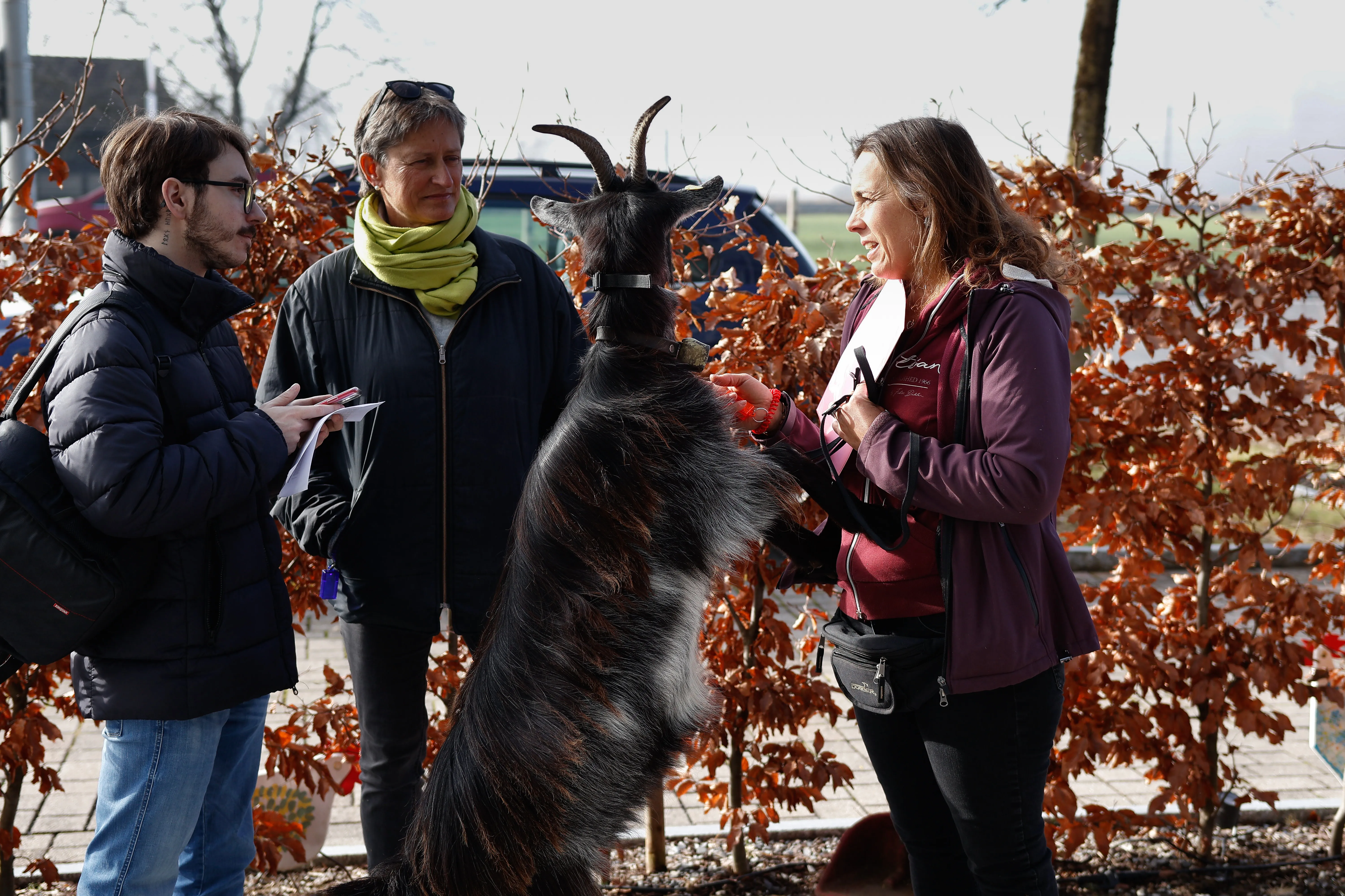 Tierbesuch in der Stiftung Eichholz image 6