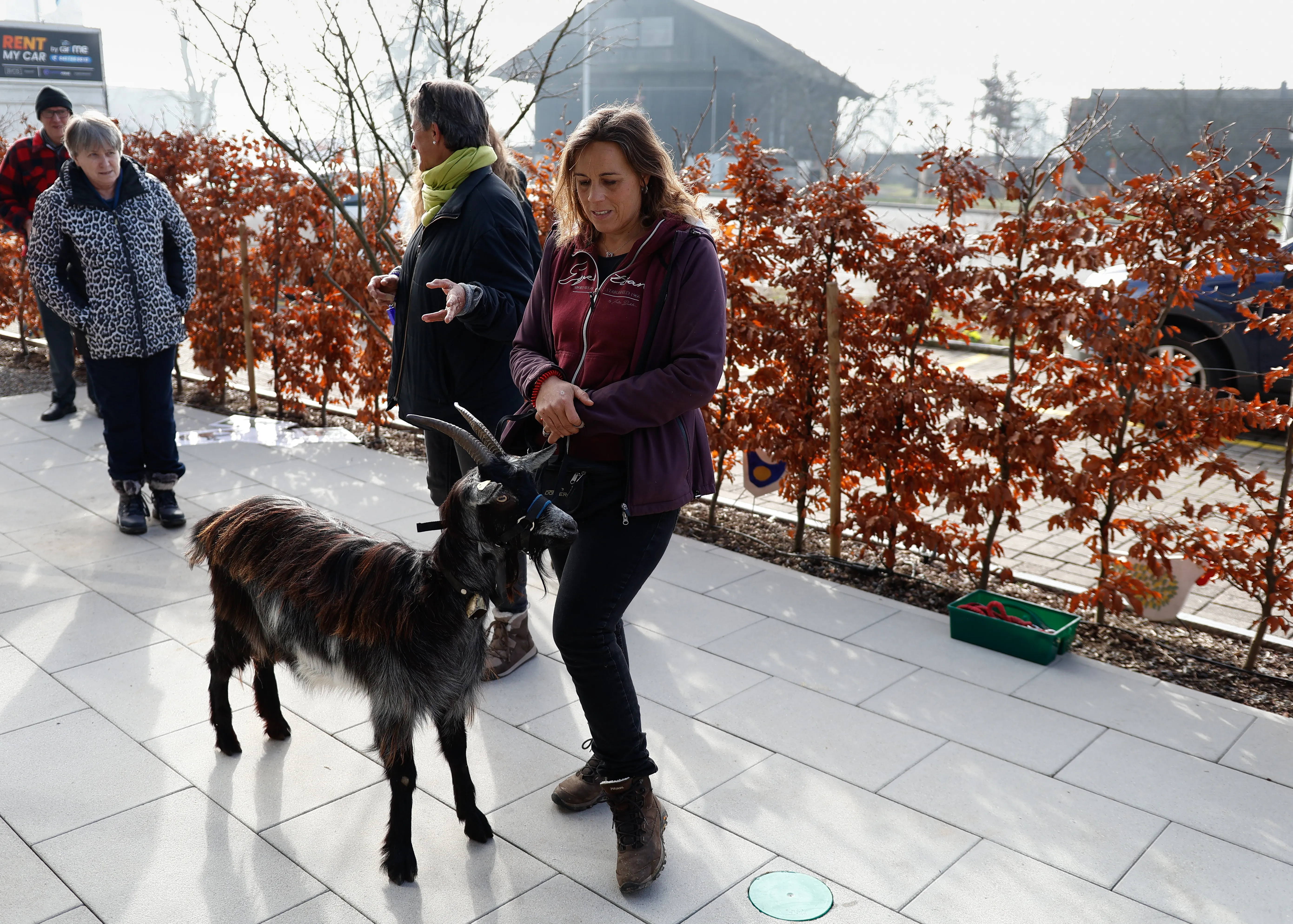 Tierbesuch in der Stiftung Eichholz image 7