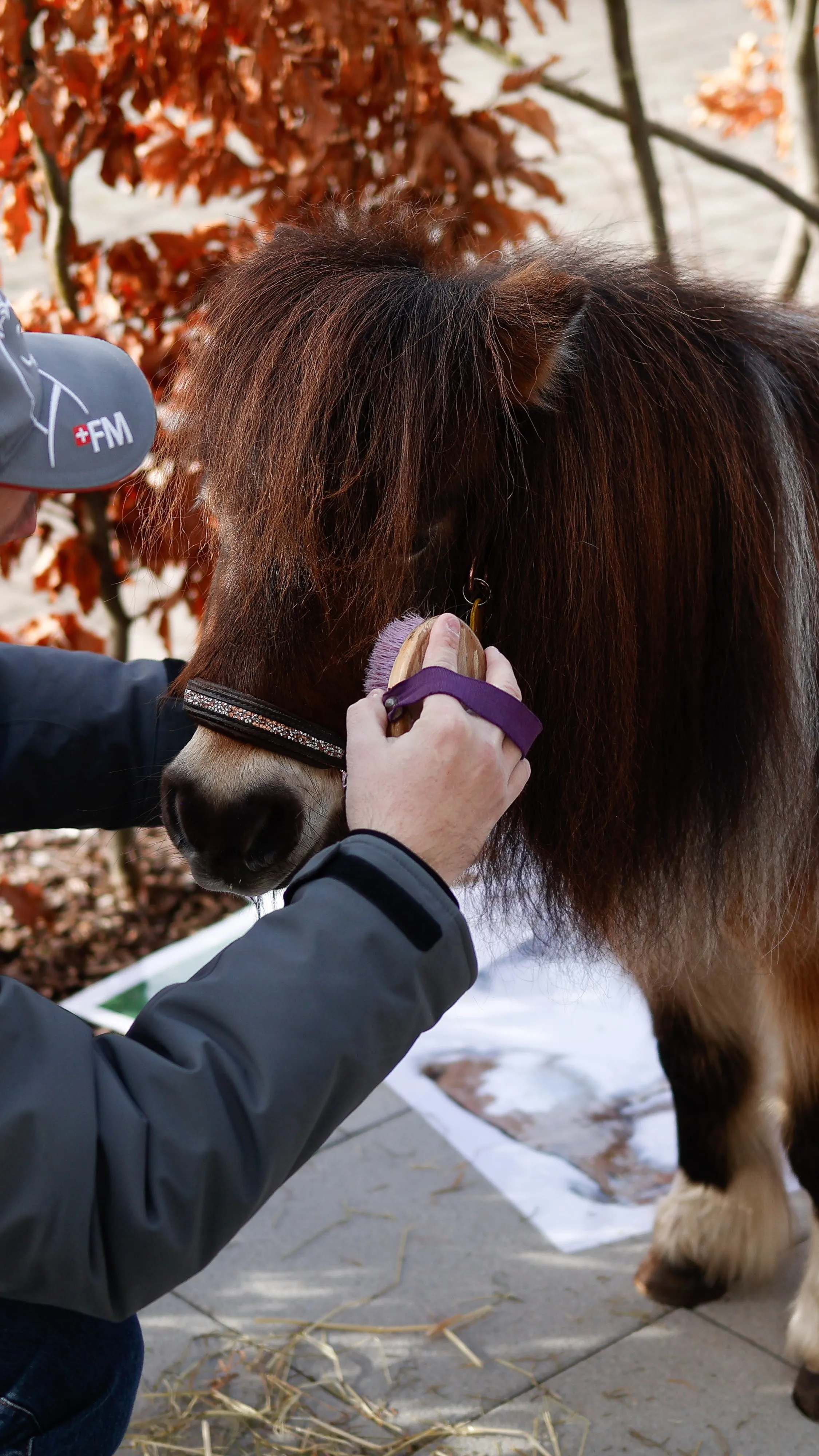 Tierbesuch in der Stiftung Eichholz image 16