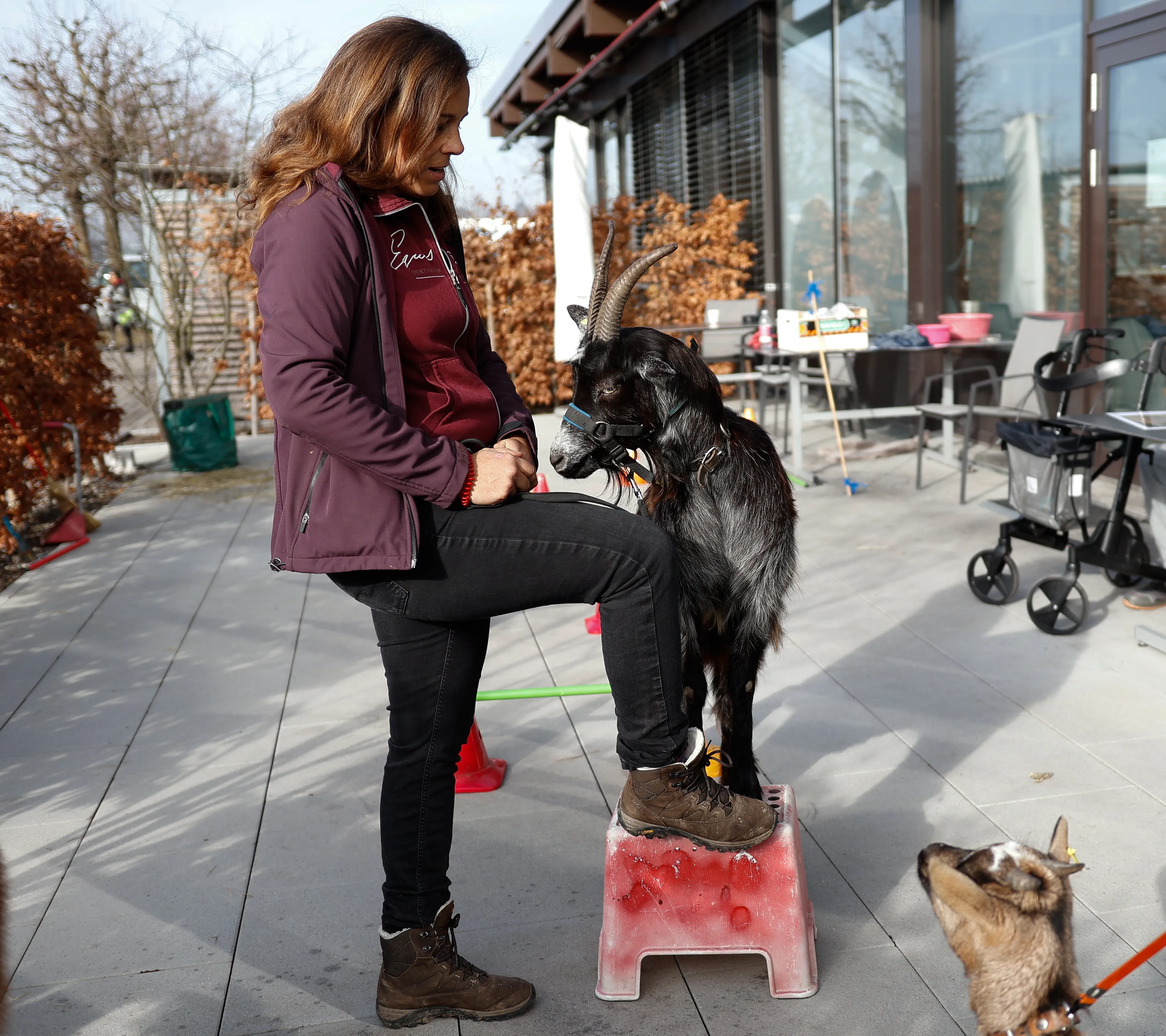 Tierbesuch in der Stiftung Eichholz image 17