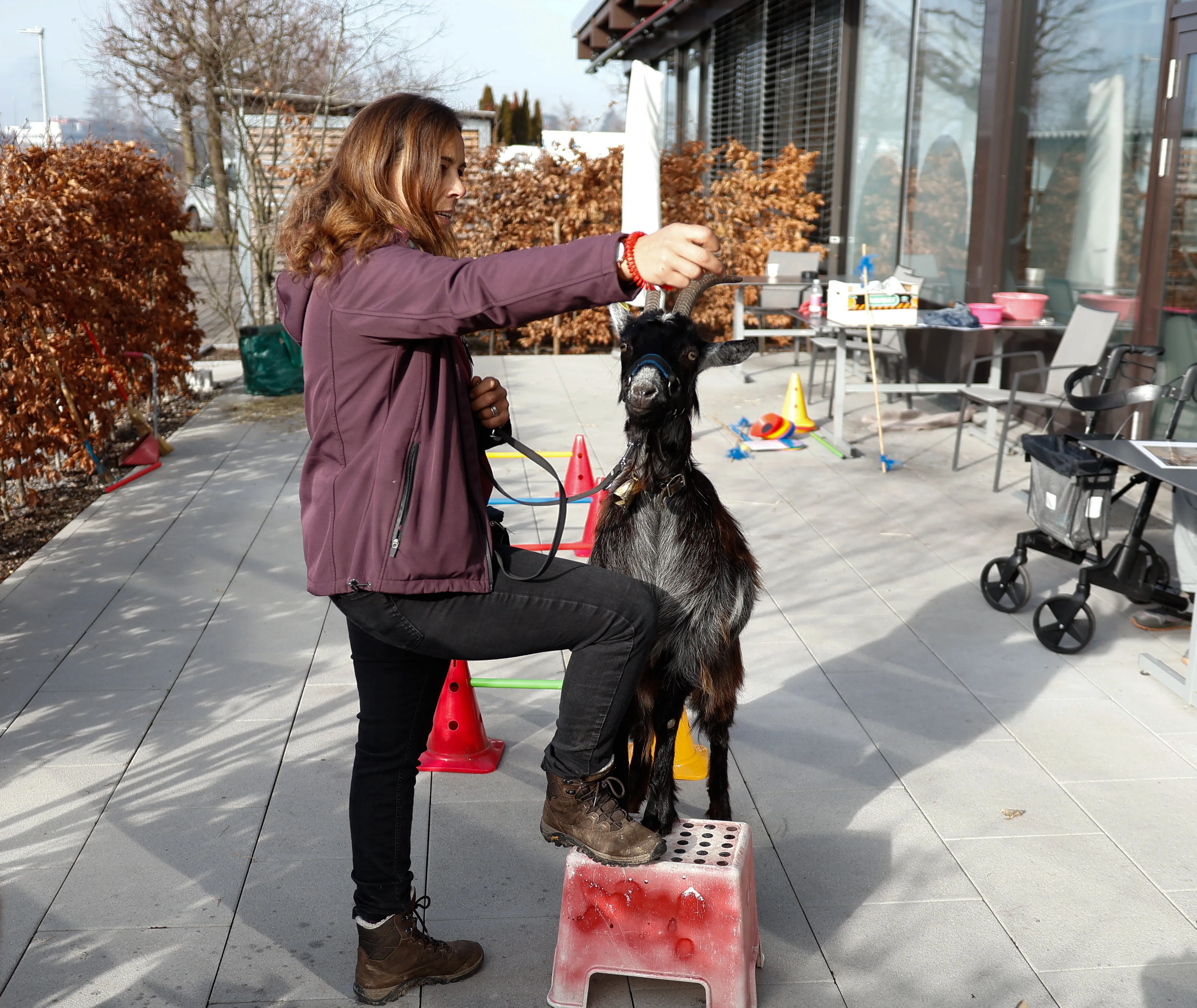 Tierbesuch in der Stiftung Eichholz image 18