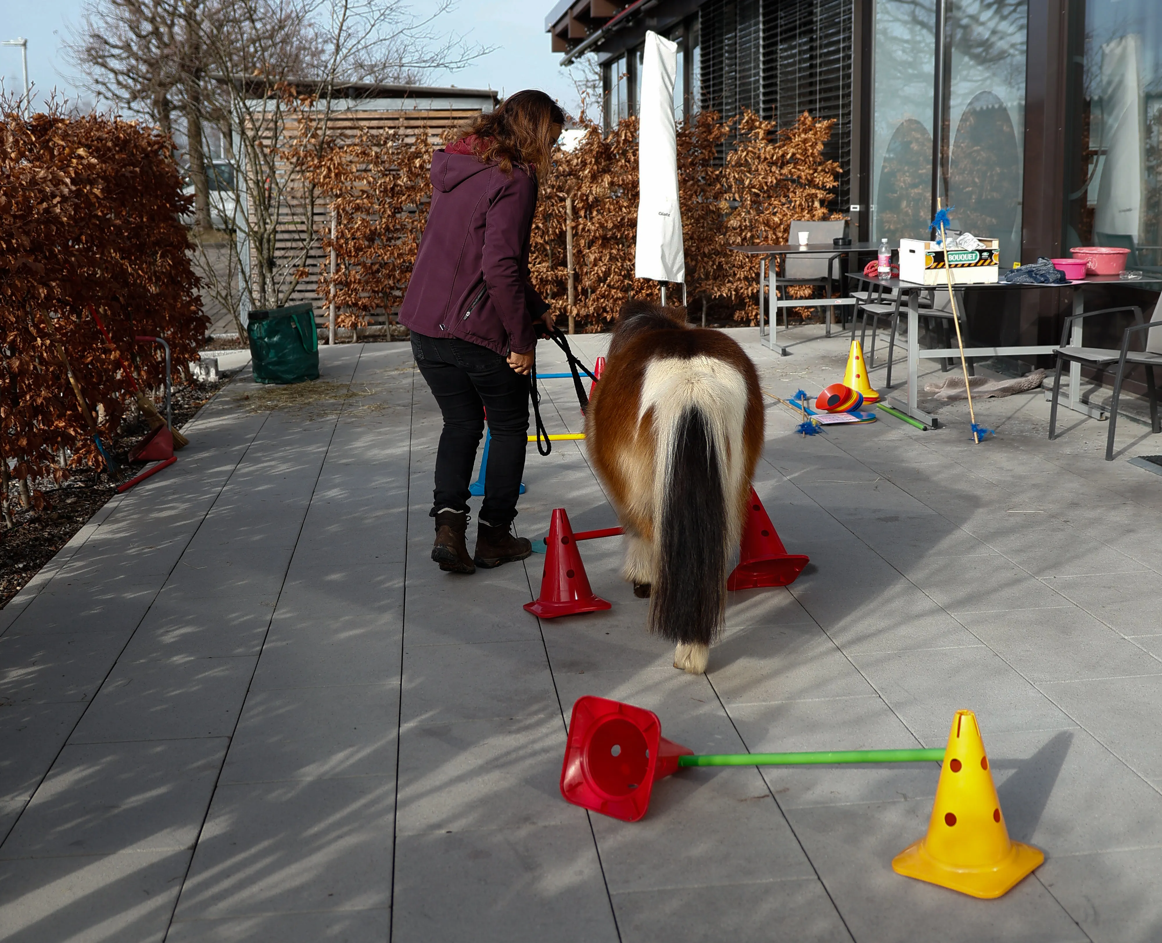 Tierbesuch in der Stiftung Eichholz image 19