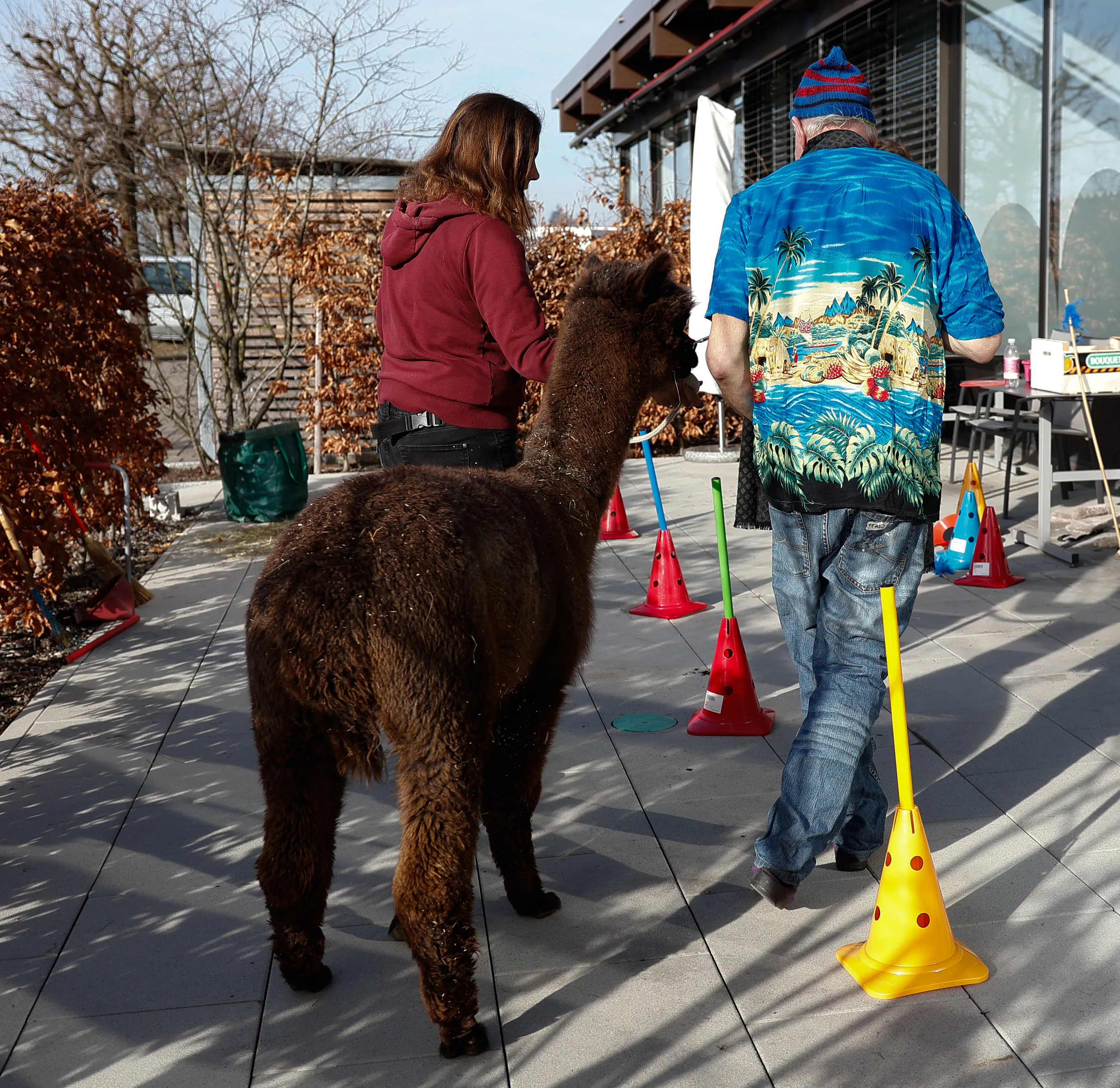 Tierbesuch in der Stiftung Eichholz image 27