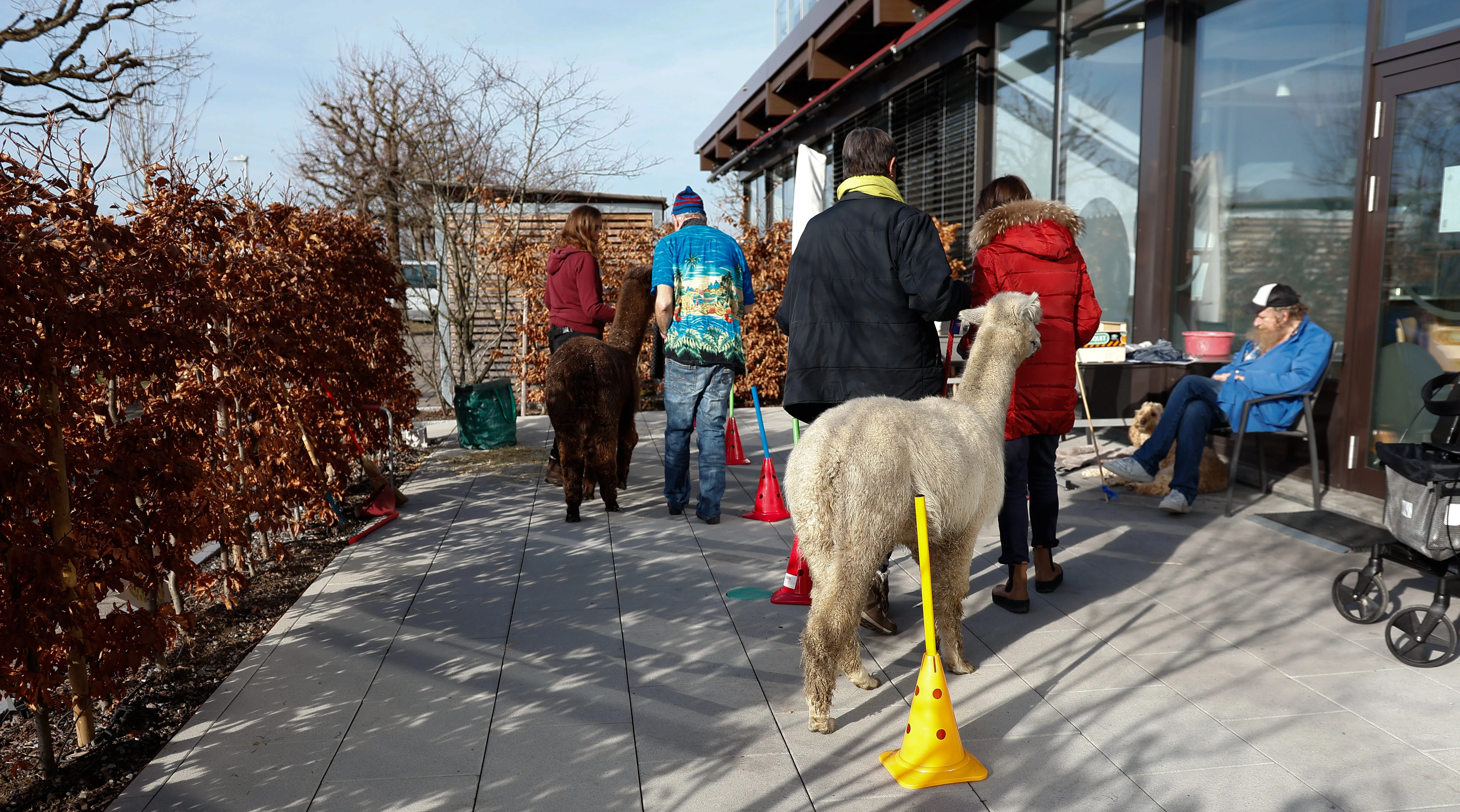 Tierbesuch in der Stiftung Eichholz image 28