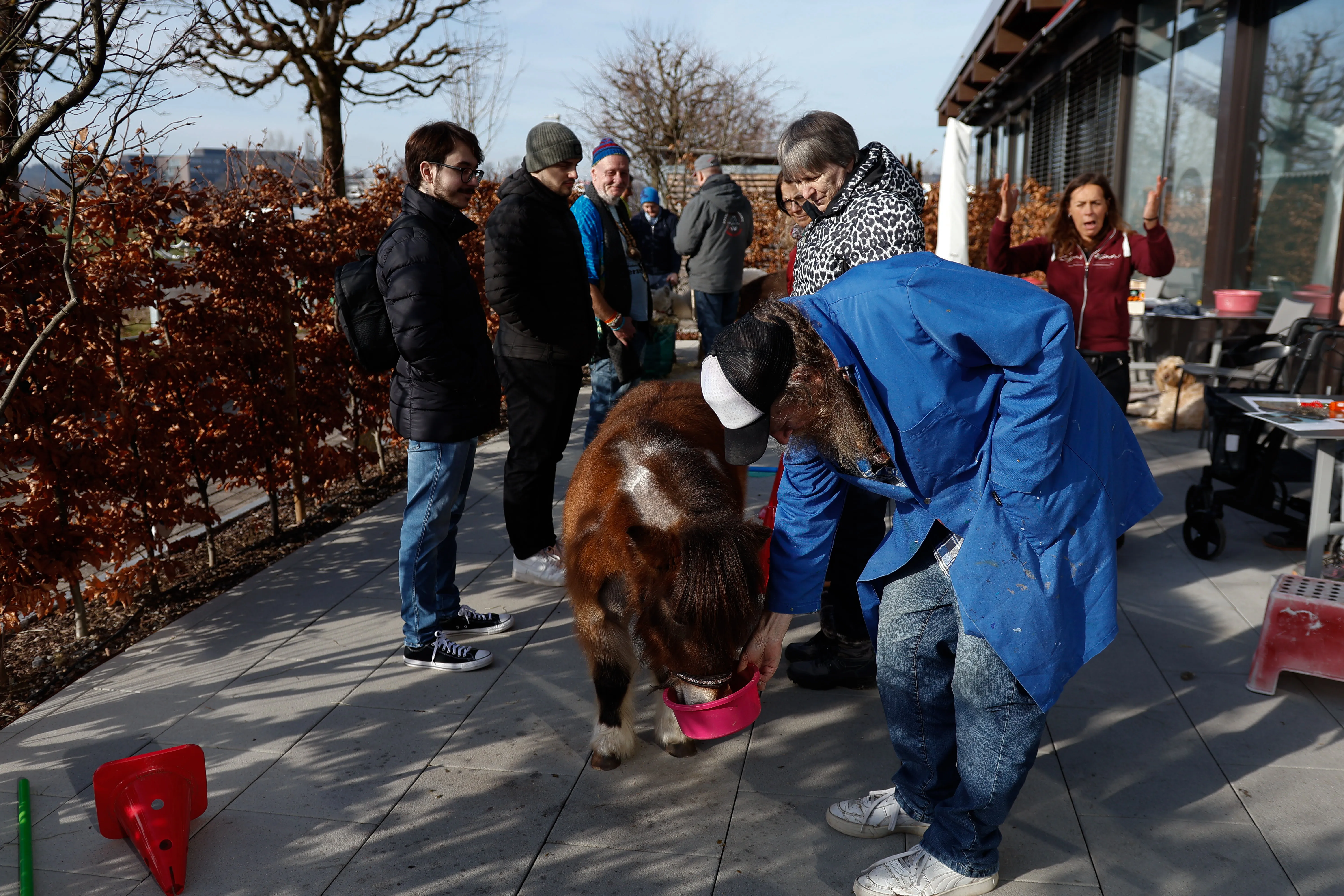 Tierbesuch in der Stiftung Eichholz image 31