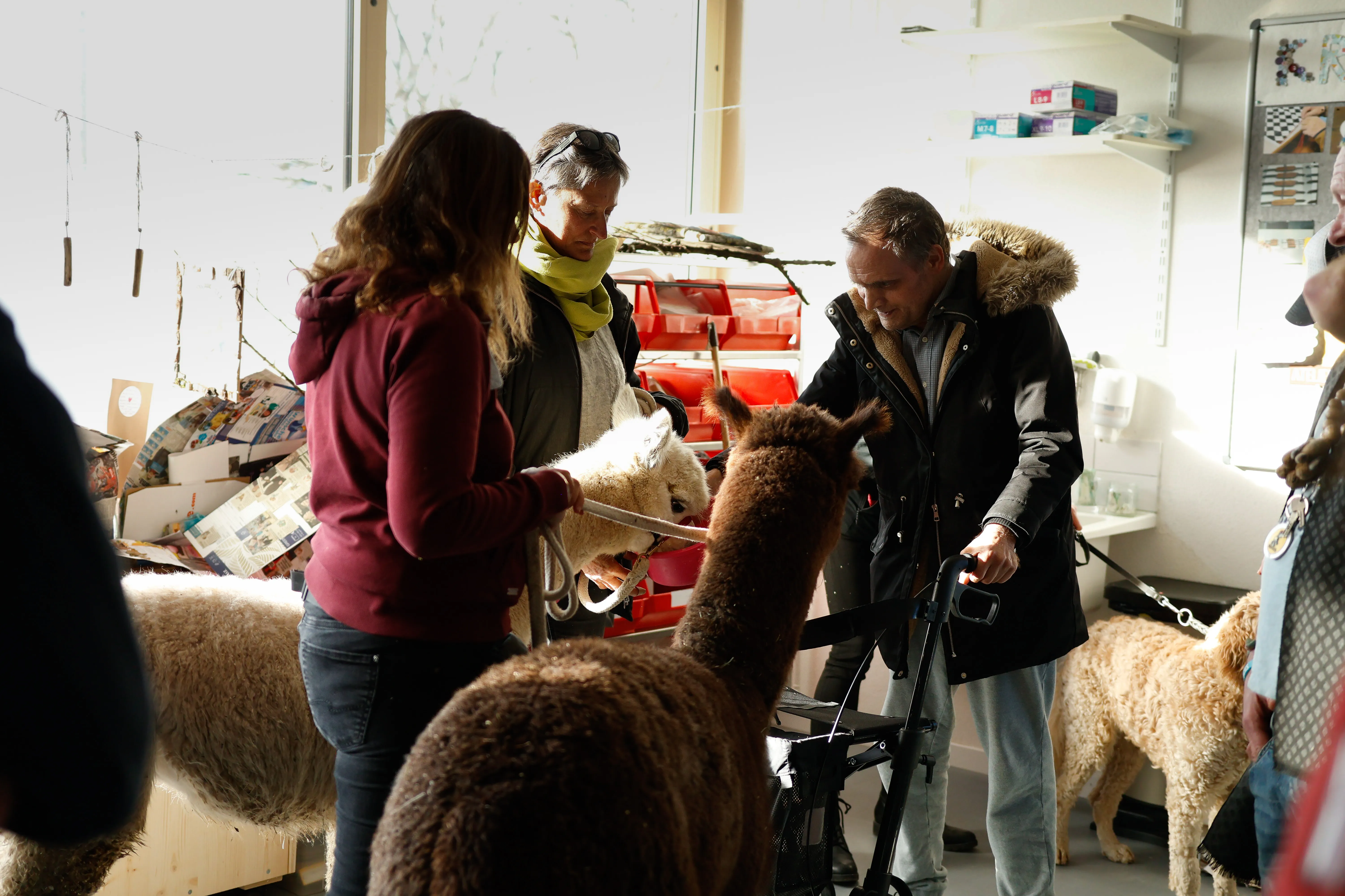 Tierbesuch in der Stiftung Eichholz image 36