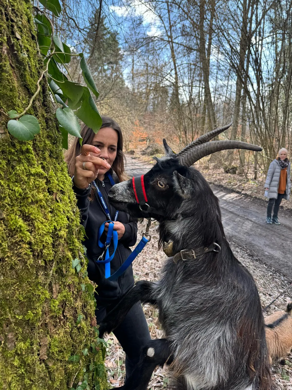 Ziegen Training für TiMe mit Sonja Kaiser und Kids image 0