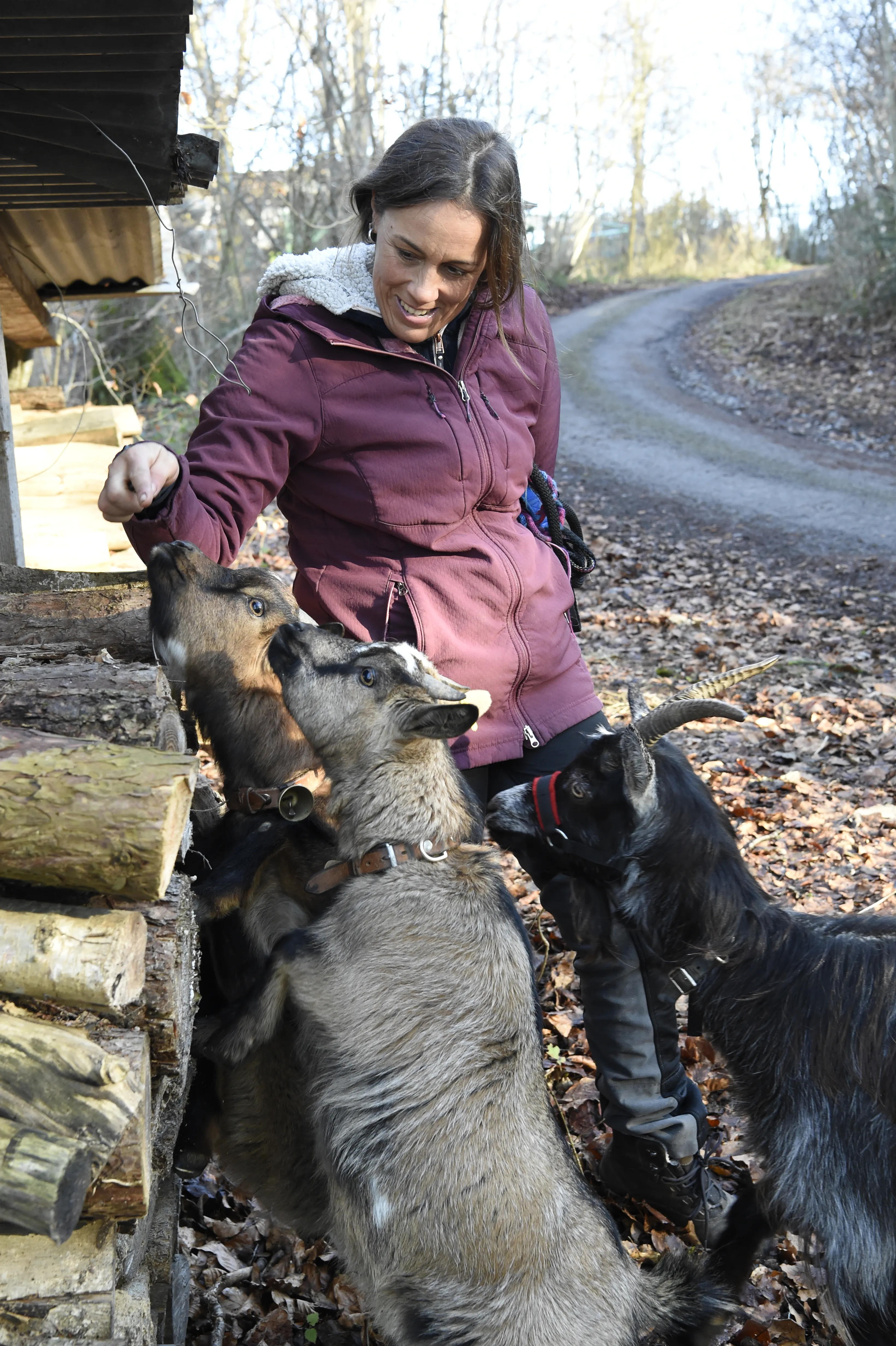 Tierspaziergang mit Freunden image 4