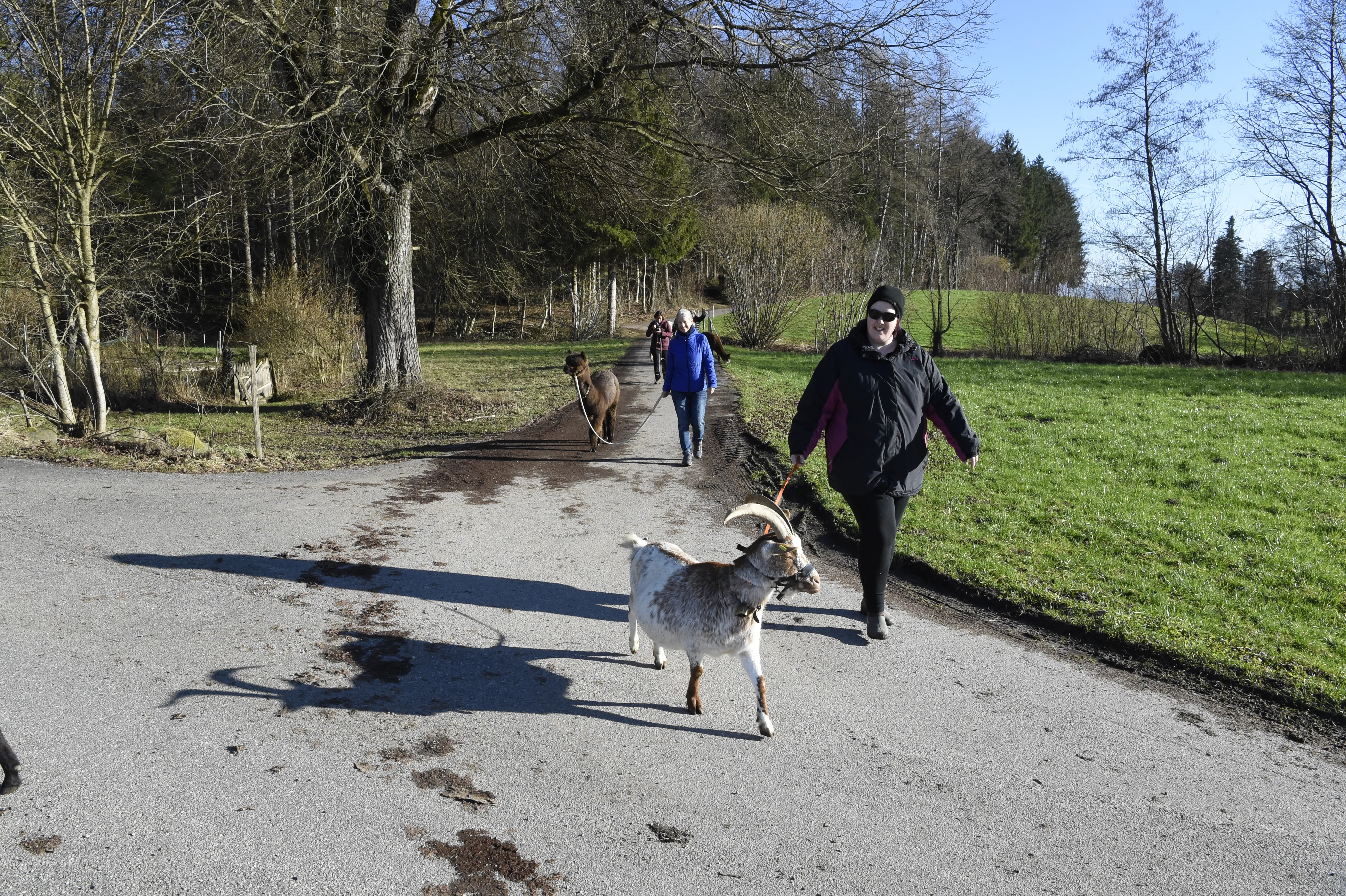 Tierspaziergang mit Freunden image 5