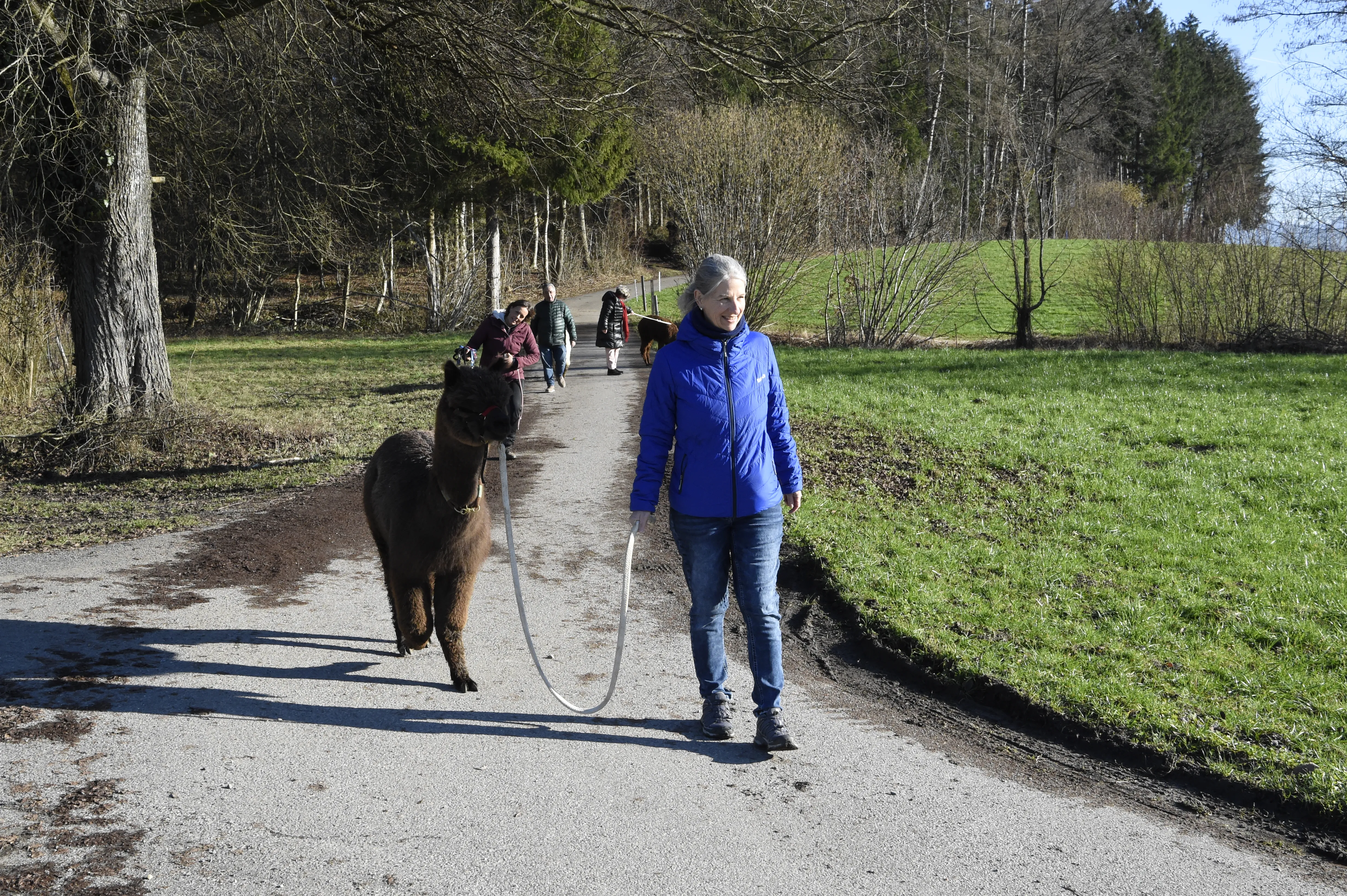 Tierspaziergang mit Freunden image 6