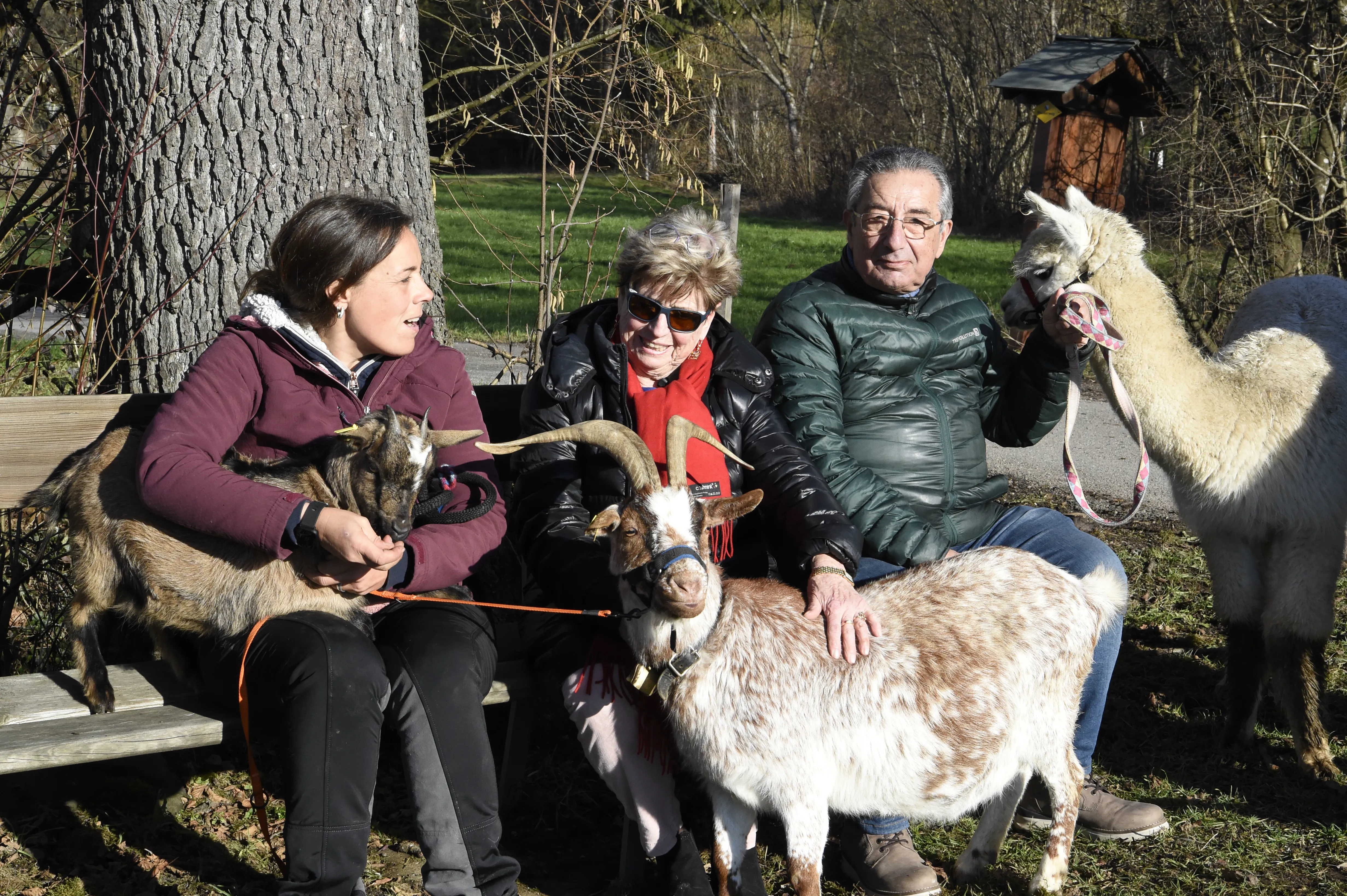 Tierspaziergang mit Freunden image 9